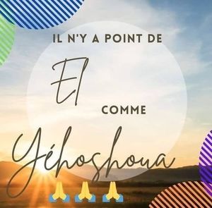 Meet your Posher, Fernanda